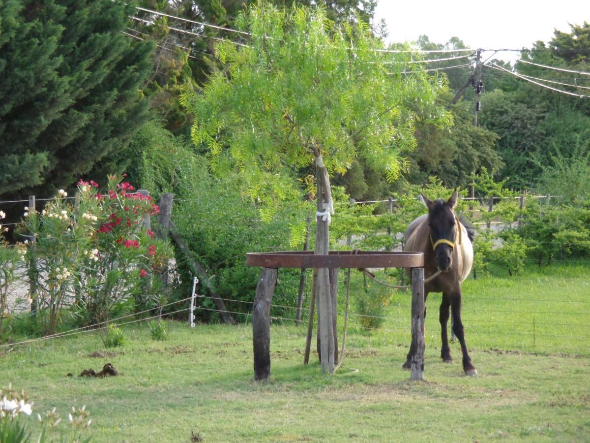 El Sendero - Gueiraldes B&B San Antonio de Areco Extérieur photo